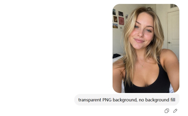 chatgpt transparent background prompt