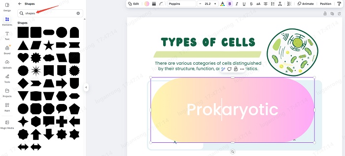 outline a text box in canva