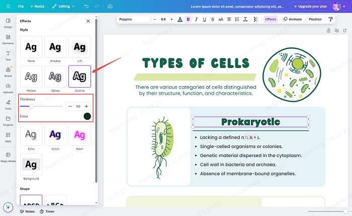 outline text operation