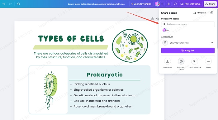 share your canva designs