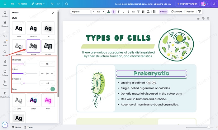 splice text operation